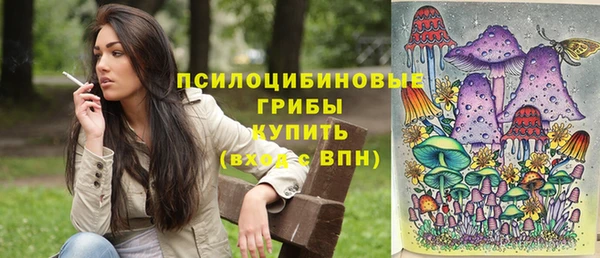шишки Аркадак