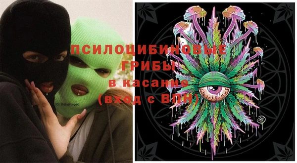 эйфоретик Бородино