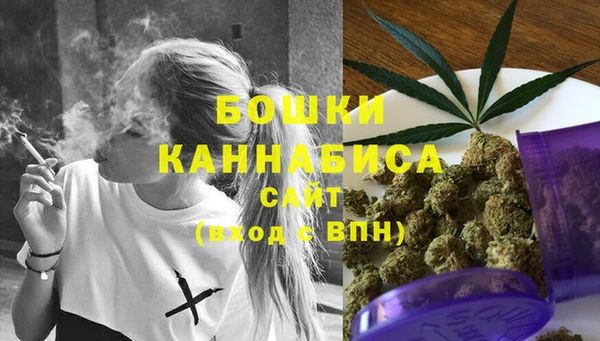 эйфоретик Бородино