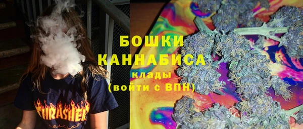 эйфоретик Бородино