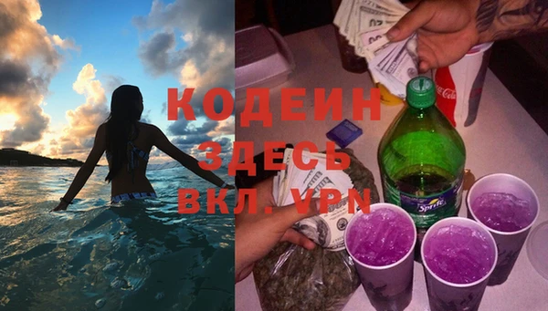 шишки Аркадак