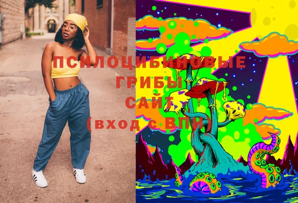 эйфоретик Бородино