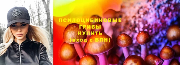 винт Армянск