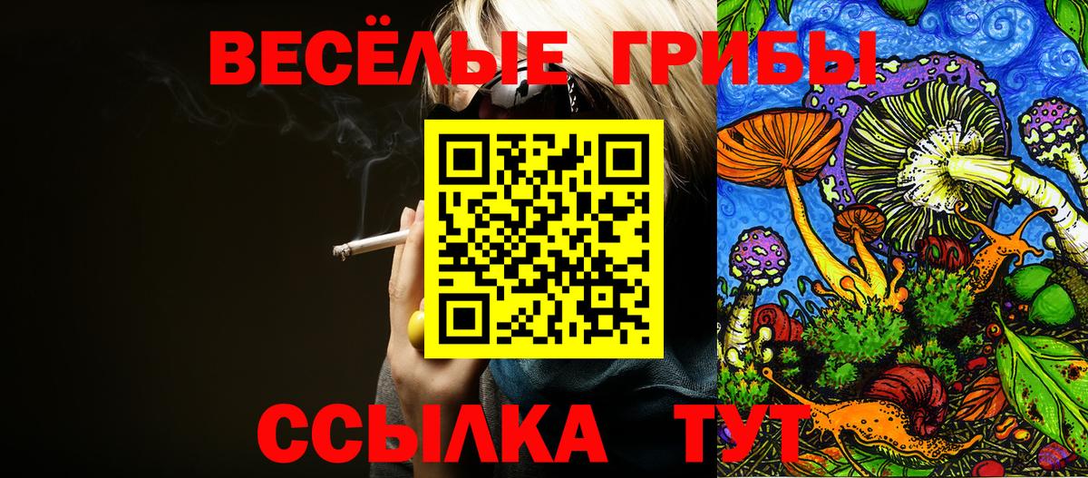 Спасск-Дальний  Псилоцибиновые грибы Magic Shrooms  Псилоцибиновые грибы MAGIC MUSHROOMS  Вход с VPN 