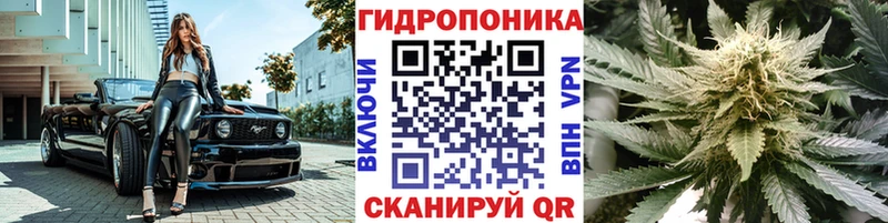 купить   Спасск-Дальний  Бошки марихуана сатива 